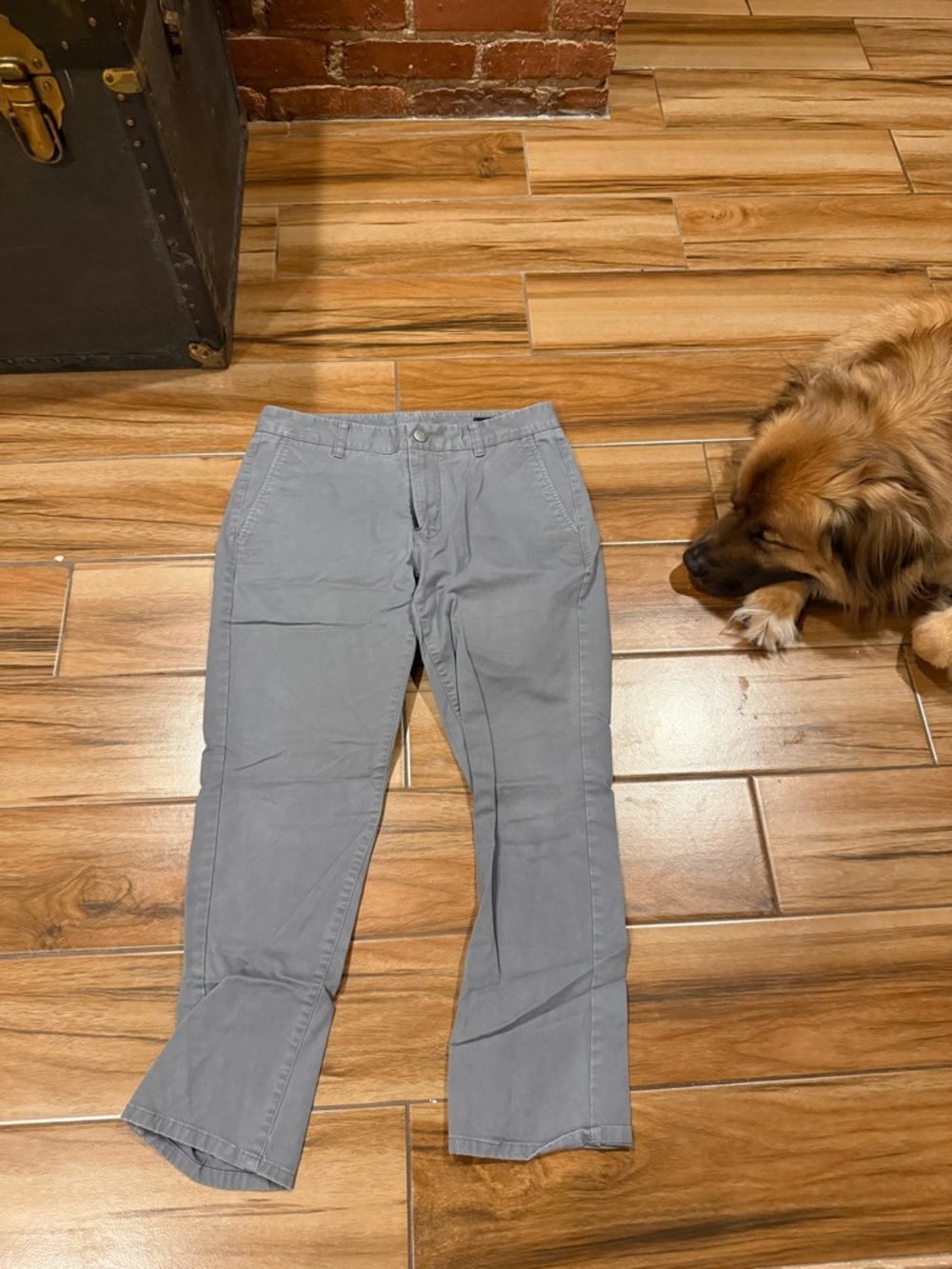 Bonobos Light Gray Chino Pants